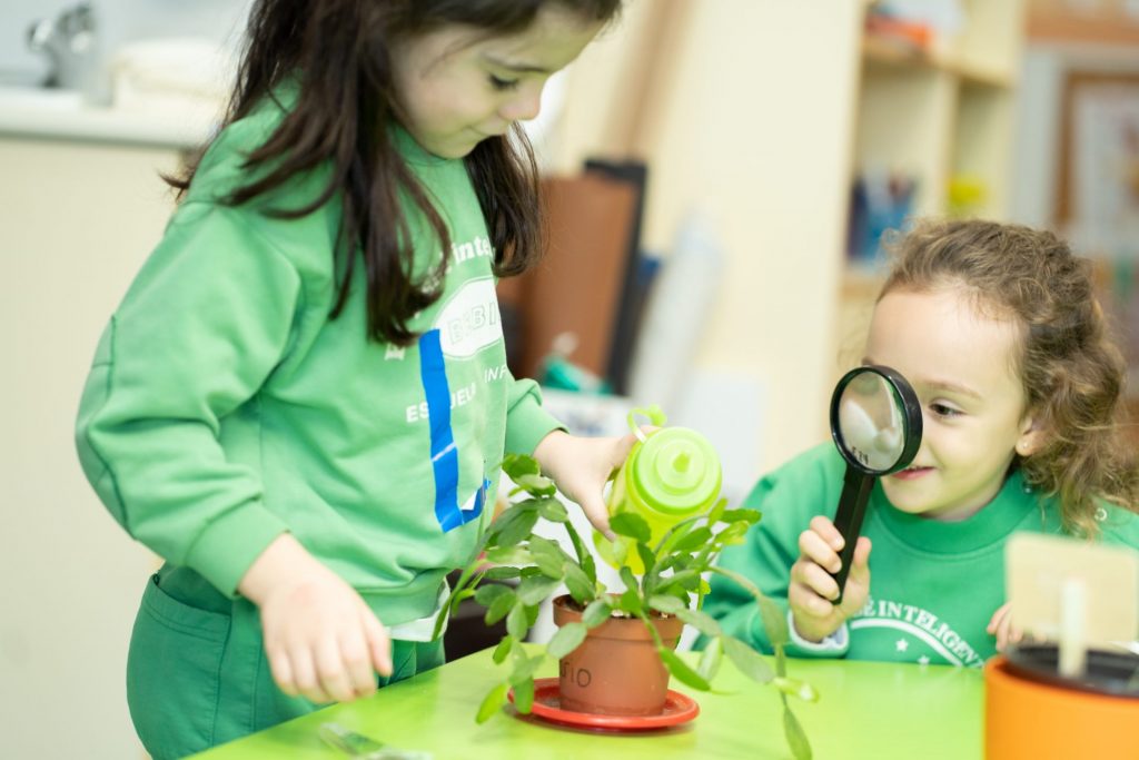 curiosidad_bebin_infantil_las_rozas_colegio_europeo_de_madrid_cem